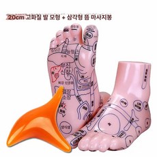 한의원 발 15cm 리플렉솔로지 모형 혈자리 실습 경혈위치 20cm 제품 마네킹 훈련, 7.20CM 발 모형+가슴 마사지 스틱