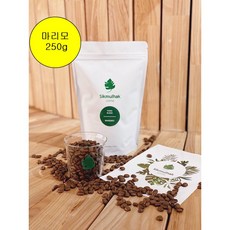 커피원두 식물학스토어 [마리모] 250g, 모카포트용