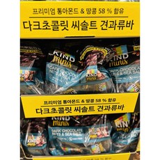 코스트코 다크초코릿 씨쏠트 견과류바, 20g, 24개
