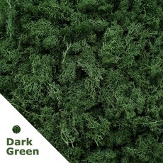 20/40/100g 영원한 생명 이끼 인공 식물 DIY 공예 잔디 정원 홈 룸 장식 미니 풍경 가짜, 12)40gram, A003