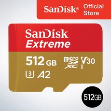 샌디스크 익스트림 메모리카드 마이크로칩 QXA1, 512GB, 1개