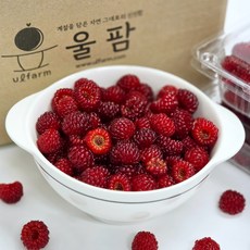 국내산 울팜 산딸기 생과, 2개, 산딸기 250g