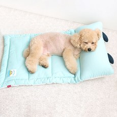 끄니스토어 강아지 낮잠베드 블루 애견용품 반려동물쿠션