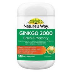 네이쳐스웨이 징코 2000 120정 Natures Way Ginkgo 2000 Brain & Memory 120, 1개