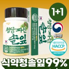 자연온정 청당 파인 솔잎 추출물 국산 100%, 2개, 60정