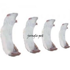 뱀먹이 냉동랫트 냉동 렛, 1개