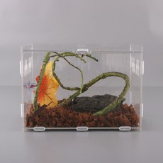 조립형 가로형 20x15x15 (소) 도마뱀 사육장 도마뱀집 아크릴사육장, 1개