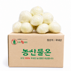 농산물온 국내산 햇 깐양파 개별포장, 1박스, 3kg (중/대)