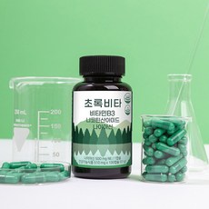 초록비타 고용량 비타민B3 500mg (니코틴산아미드 나이아신아마이드) 미국산, 1개, 100정