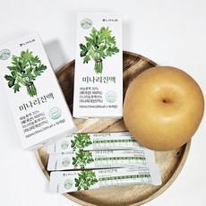 [노안농협] 배향 가득한 건강한 배미나리 진액 스틱 15ml (20개)