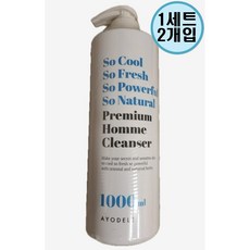 아요델 힐링 허브 클린 앤 스트롱 남성청결제, 1L, 2세트