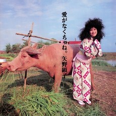 [CD] Akiko Yano (아키코 야노) - 6집 Ai Ga Nakucha Ne