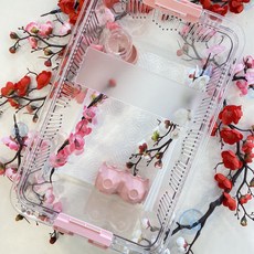 크레스티드게코 도마뱀 사육장 조이클린케이지 대 블랙, 1개, 손잡이-민트