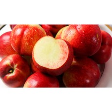 신비복숭아, 신비복숭아 1kg 소과 (14과내외), 1개, 1kg 소과