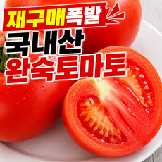 [재구매폭발]국내산 대과 당도보장 고당도 완숙토마토, 1박스, 초가성비 대과 2kg