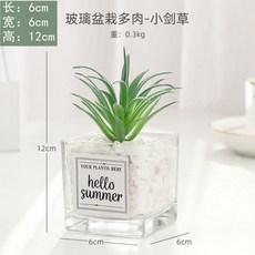 台灣熱賣ins風仿真多肉盆栽，仙人掌綠植客廳擺件，小盆栽裝飾品綠植假花桌面擺設，輕鬆打造清新居家風格, 小劍草+ins小方玻, 1個