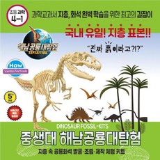 공룡 화석 발굴키트 체험 과학 체험몰 방과후수업 조카선물 두뇌력 향상 집중력놀이, 1개
