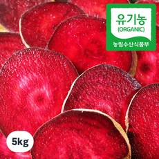 [부자농원] 땅의 힘으로 키운 100% 유기농 생 레드 비트 전남 해남 산지직송, 1개, 5kg (유기농 비트)