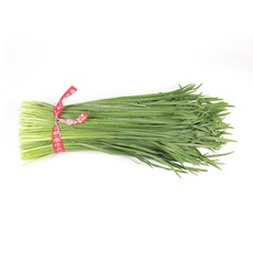정직한농장 산지직송 신선한 국내산 손질 부추, 750g, 1박스