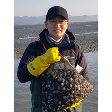 바지락 조개 해감 제철 산지직송 술찜 1kg 2kg 3kg 4kg 5kg 6kg 7kg 8kg 9kg 10kg, 바지락 1kg, 1개