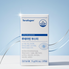 루테아틴 부스터 지아잔틴 루테인 베타카로틴 건강기능식품, 2박스
