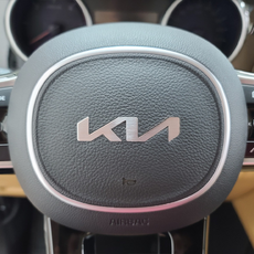 NEW기아 신형 로고 핸들 가죽 패드 혼캡 엠블럼 카니발 쏘렌토 K5 레이 모닝 K3 니로 K7 스포티지 쏘울 셀토스, 진회색단일, 3. 타원 가로 111mm