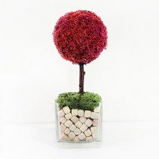 모스트리 순록이끼나무 핸드메이드 스칸디아모스, 레드, 1개