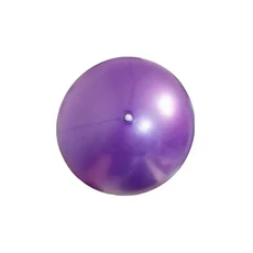 25cm 필라테스 볼 폭발 방지 요가 코어 실내 밸런스 피트니스 장비, 01 purple