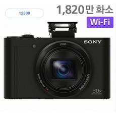 소니 DSC-WX500 (오늘출발 / 64GB포함), wx500
