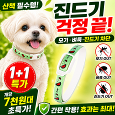 1+1 라노핏 해충방지 목걸이 강아지 고양이용 식물성 애완용품 모기 벌레 진드기 퇴치, 2개, 그린_S(4KG)
