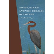 Night Sleep and the Dreams of Lovers Paperback, Black Mountain Press