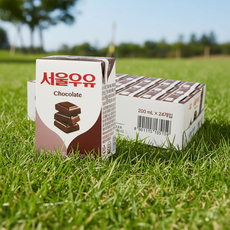 초코 서울 멸균우유 200ml 24개