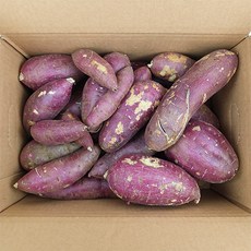 25년 해남 무농약 못난이 꿀호박고구마 고구마 혼합(10kg), 10kg (혼합), 1개