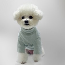 스타일독 로얄골지 반목티 강아지옷, 민트, 1개