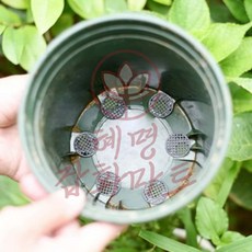 혜명잡화마트 화분 흙 유실방지 배수망 7.5cm 5개입