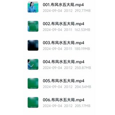 易&學 張敬平 布風水五大局6集