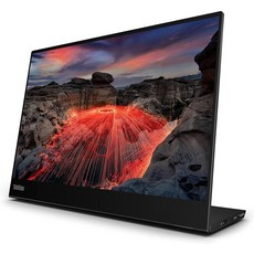 ThinkVision M14t Gen2 14\" 모니터 160916, ThinkVision M14t Gen2 14" 모니터