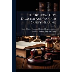 (영문도서)The Bp Texas City Disaster And Worker Safety Hearing Paperback, Hutson Street Press, English, 9781024280814