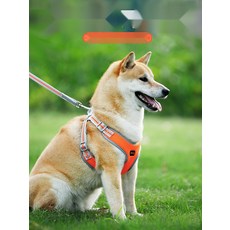 강아지인식표 동물등록증 강아지이름표목걸이 네임택, 4. 라임그린, XXS