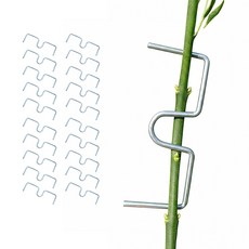 아띠꼴로 잘 휘어지네 가지유인 E클립 사과나무 이클립 50개 중형