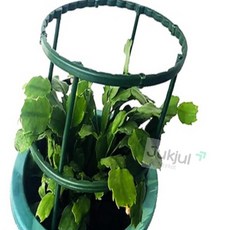 적절상회 화분 식물 지지대 원형 고추 토마토 깻잎 지주대