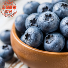 솔이네 직수입 고당도 프리미엄 생 블루베리, 2박스, 125g(특대 18mm)