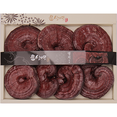 [문상영 버섯] 유기농 영지버섯 알뜰 실속용, 1개, 1kg 원형