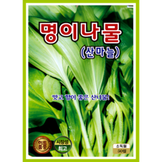 KS종묘 명이나물 씨앗 50립 산마늘 봄가을 파종 다년생 산나물 종자 ks, 1개
