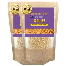 에코홀릭 A급 호주산 루피니빈 콩 루핀콩, 2개, 1kg