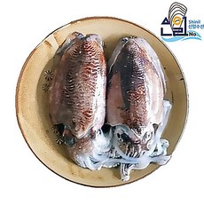 서해안 손질 통 갑오징어 1kg (500g X2팩), 1개, 손질 갑오징어 1kg (6-8미내외) 500g X2팩