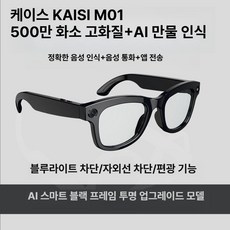 리펑 AI 번역 스마트 안경, 1개, 오닉스 블랙-투명, 기본 색상