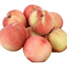 [산지직배송] 아삭한 식감 최상품 백도 딱딱이 복숭아, 1박스, [산지직송] 백도  딱딱이 복숭아 2kg 소과