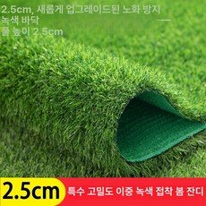 인조잔디 롤 대형 베란다 퍼팅 잔디 이끼 야외, 2.5cm 이중망 수출용 10