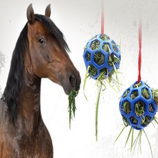 와이옐로 말 건초볼 걸이형 급여볼 말건초통